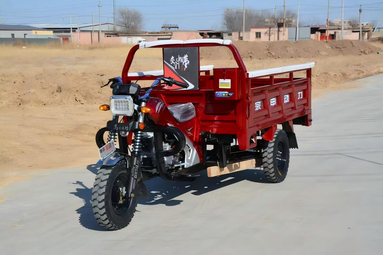 Gasoline three wheeled motorcycle JL200ZH